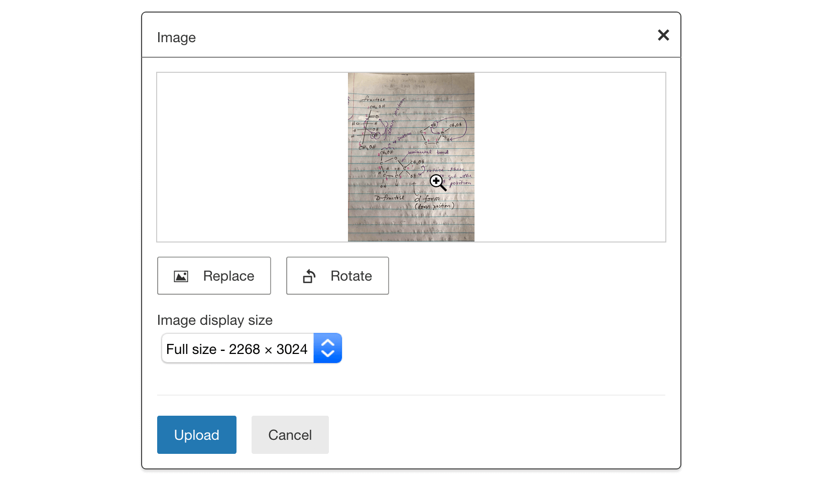 Modal that appears for student with a preview of the selected image and options